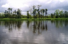 Agusan River Basin