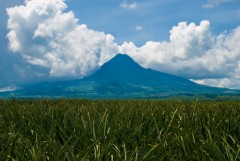 Mt. Matutum Protected Landscape