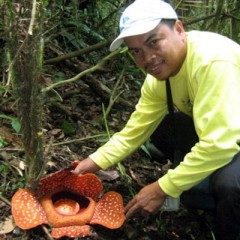 Hub of Life: Species Diversity in the Philippines