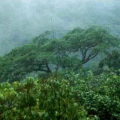 [2013] Mt. Calavite Wildlife Sanctuary Rapid Site Assessment Project
