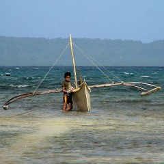 Consequences and Impacts of Biodiversity Loss